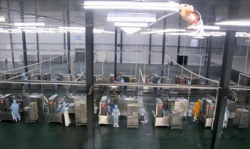 投資超2.5億 今年,長葛西南部要建一個商貿城 一個食品產業(yè)園